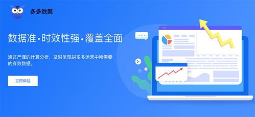 多多數聚、多多情報通與多多參謀 江西企業如何選擇最適合的軟件開發工具？