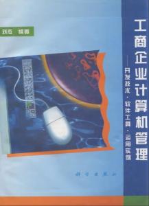 工商企業計算機管理軟件開發技術與實踐——以江西企業為例